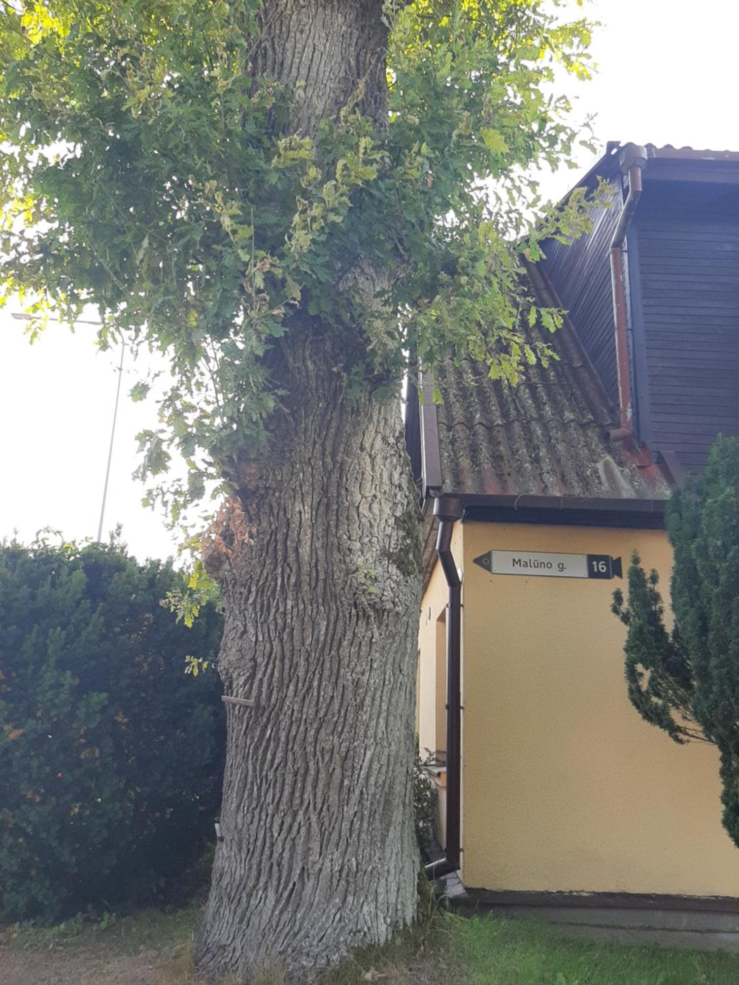 Appartamento Prie Azuolo Zarasai Esterno foto